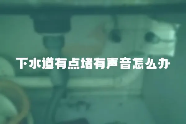 下水道有点堵有声音怎么办