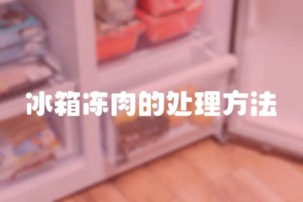 冰箱凍肉的處理方法