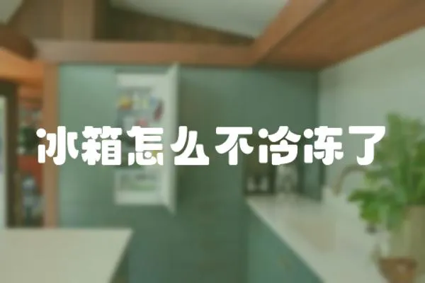 冰箱怎么不冷凍了