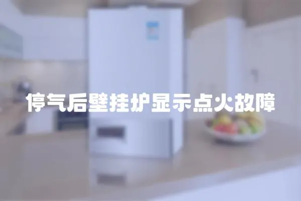 停氣后壁掛爐顯示點火故障