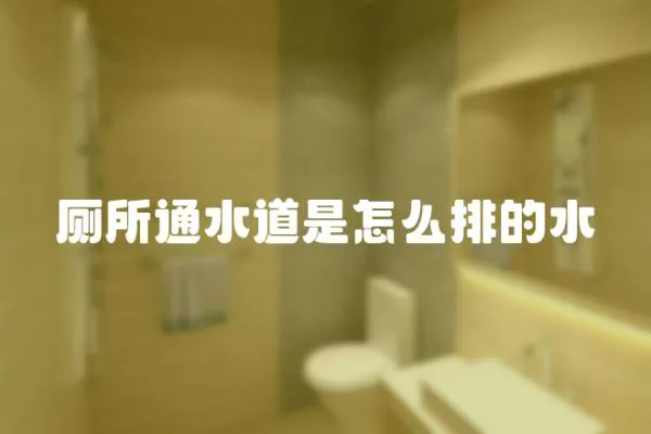 廁所通水道是怎么排的水