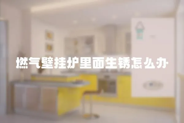 燃氣壁掛爐里面生銹怎么辦