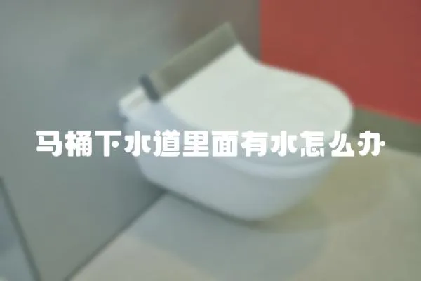 馬桶下水道里面有水怎么辦