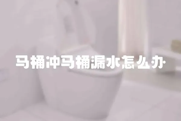 馬桶沖馬桶漏水怎么辦