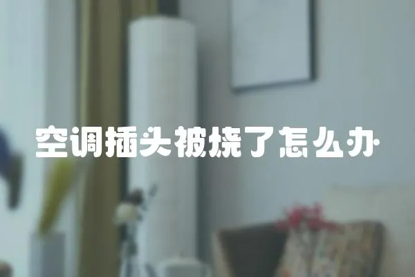 空調插頭被燒了怎么辦