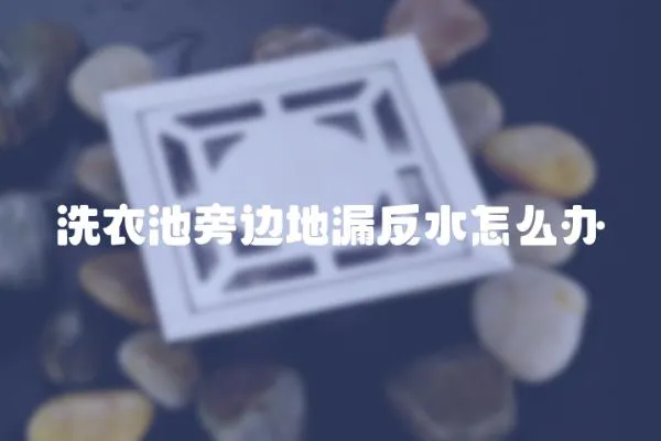 洗衣池旁邊地漏反水怎么辦