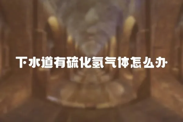 下水道有硫化氫氣體怎么辦