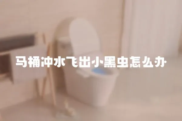 馬桶沖水飛出小黑蟲怎么辦