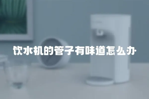 飲水機(jī)的管子有味道怎么辦