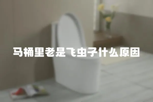 馬桶里老是飛蟲子什么原因
