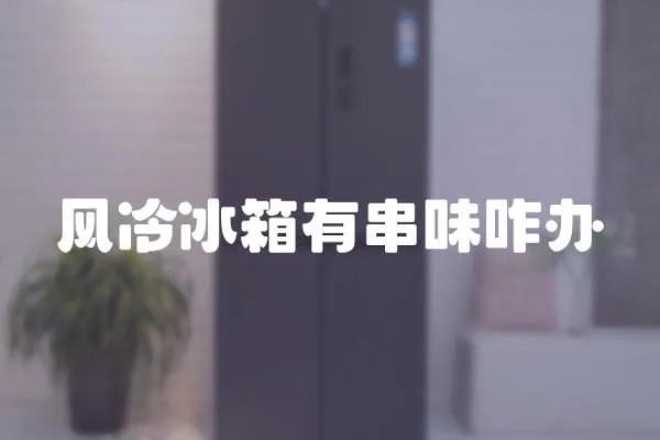 風冷冰箱有串味咋辦