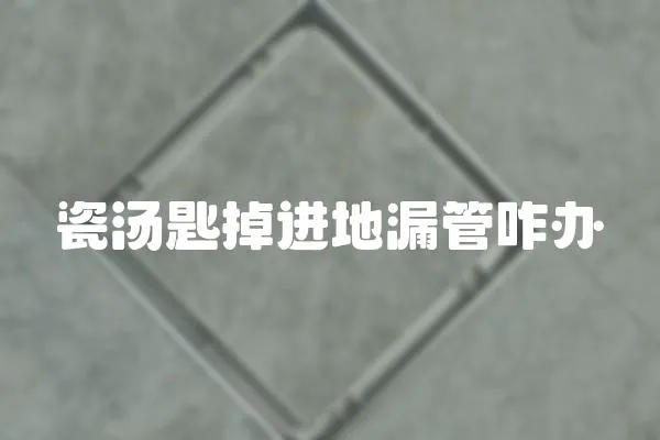 瓷湯匙掉進地漏管咋辦