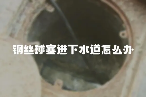 鋼絲球塞進下水道怎么辦