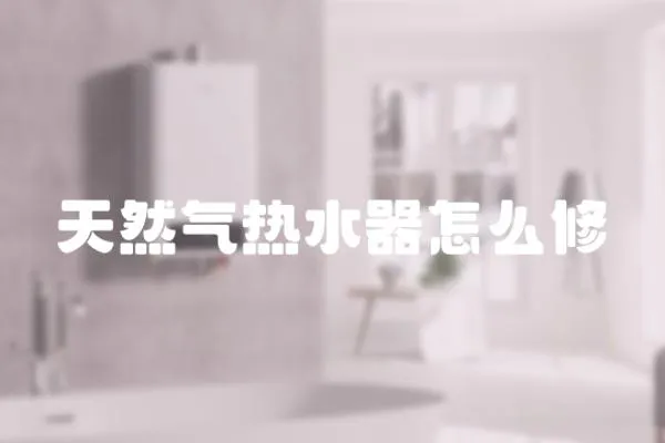 天然氣熱水器怎么修