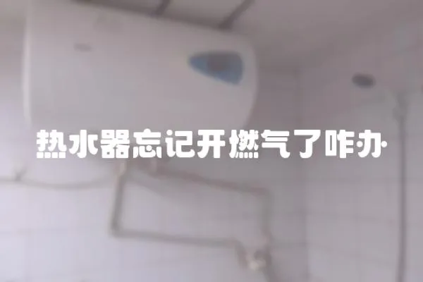 熱水器忘記開燃氣了咋辦