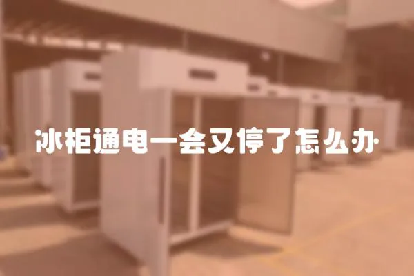 冰柜通電一會又停了怎么辦