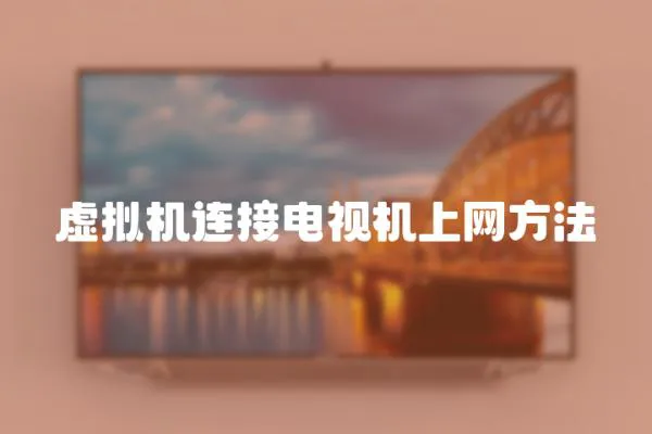 虛擬機連接電視機上網方法
