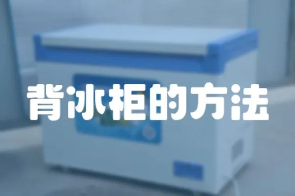 背冰柜的方法