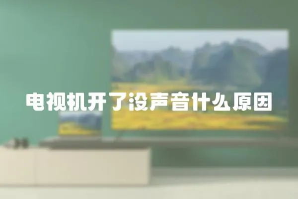 电视机开了没声音什么原因