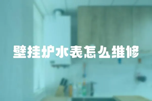 壁掛爐水表怎么維修