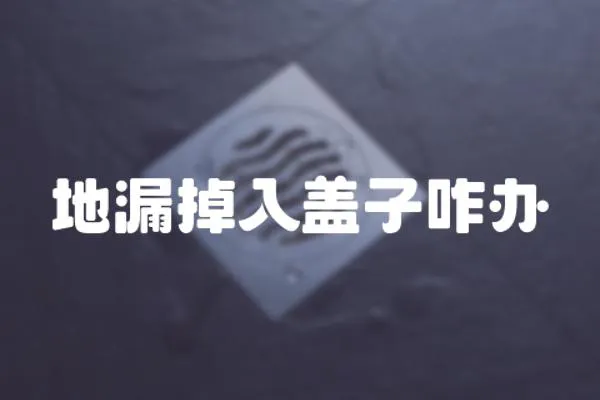 地漏掉入蓋子咋辦