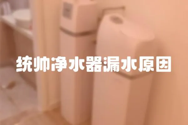 統帥凈水器漏水原因