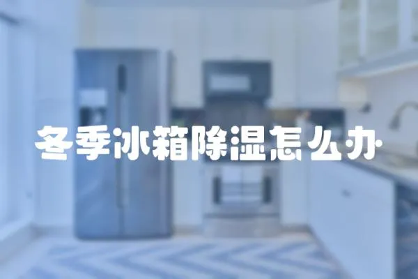冬季冰箱除濕怎么辦