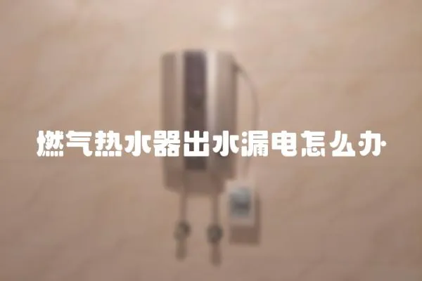 燃氣熱水器出水漏電怎么辦
