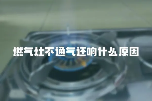 燃?xì)庠畈煌膺€響什么原因