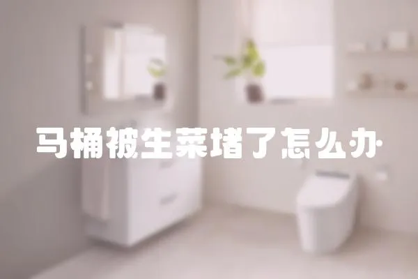 馬桶被生菜堵了怎么辦