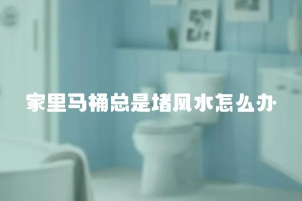 家里馬桶總是堵風水怎么辦