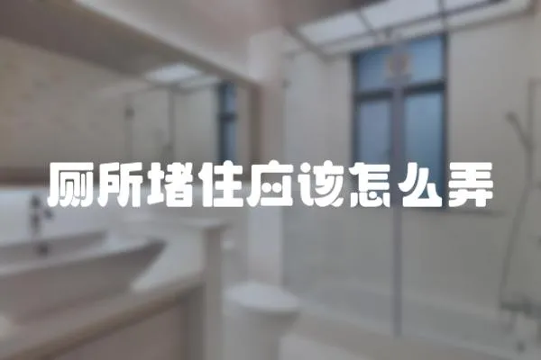 廁所堵住應該怎么弄