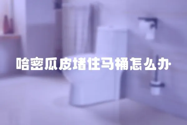 哈密瓜皮堵住馬桶怎么辦