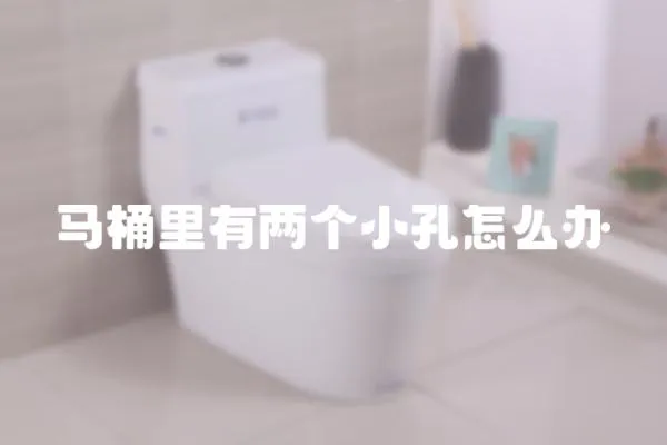 馬桶里有兩個(gè)小孔怎么辦