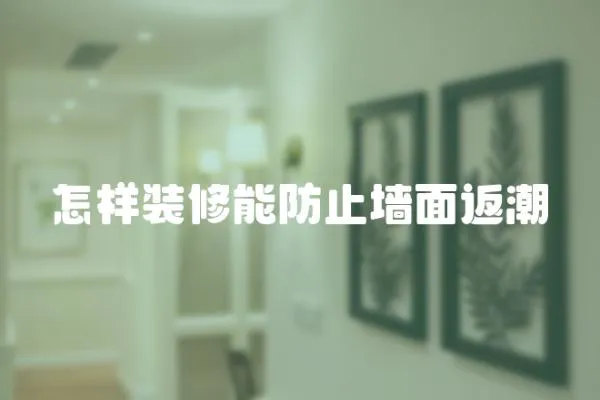 怎樣裝修能防止墻面返潮