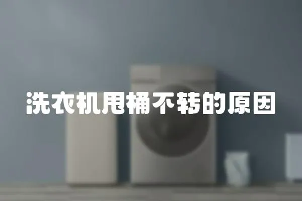 洗衣機甩桶不轉的原因