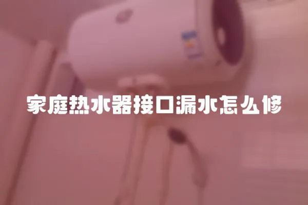 家庭熱水器接口漏水怎么修