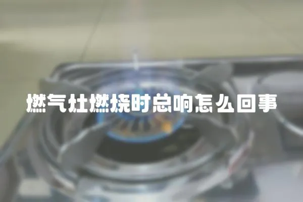 燃?xì)庠钊紵龝r(shí)總響怎么回事