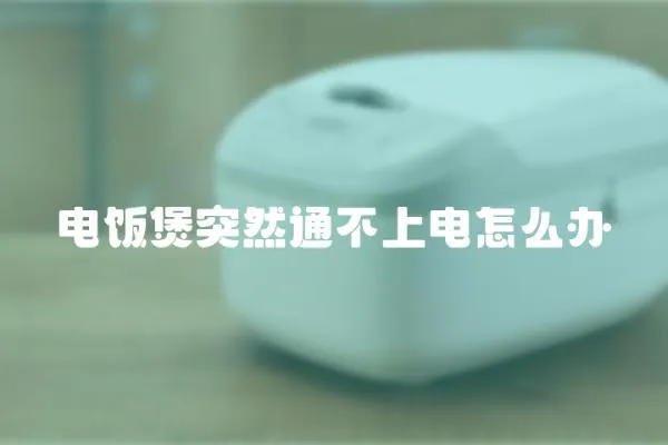 電飯煲突然通不上電怎么辦