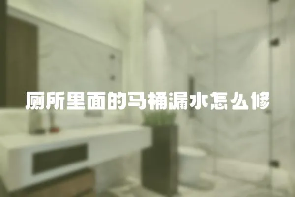 廁所里面的馬桶漏水怎么修