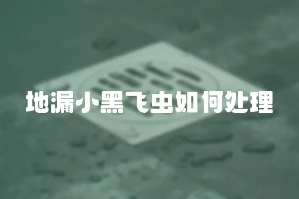 地漏小黑飛蟲如何處理