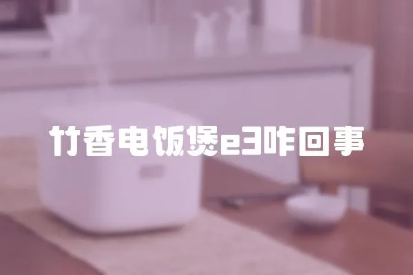 竹香電飯煲e3咋回事