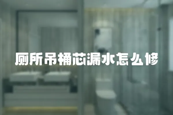 廁所吊桶芯漏水怎么修