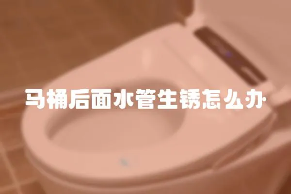 馬桶后面水管生銹怎么辦
