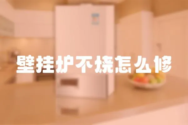 壁掛爐不燒怎么修