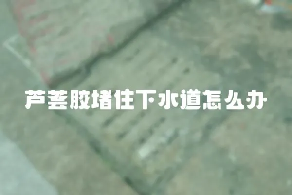 蘆薈膠堵住下水道怎么辦