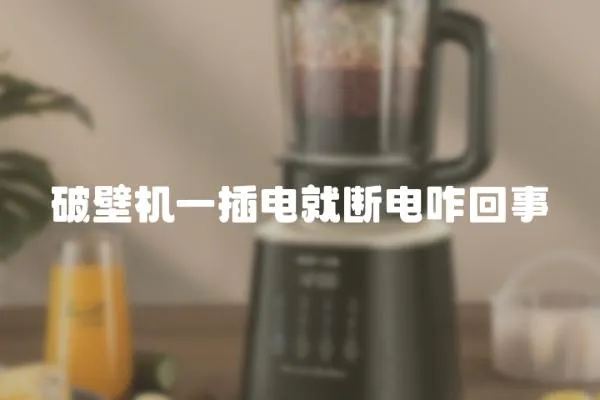 破壁機一插電就斷電咋回事