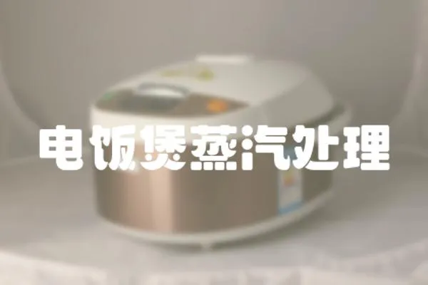 電飯煲蒸汽處理