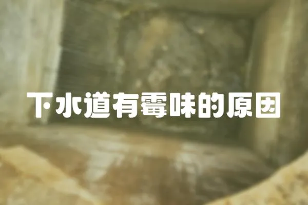 下水道有霉味的原因