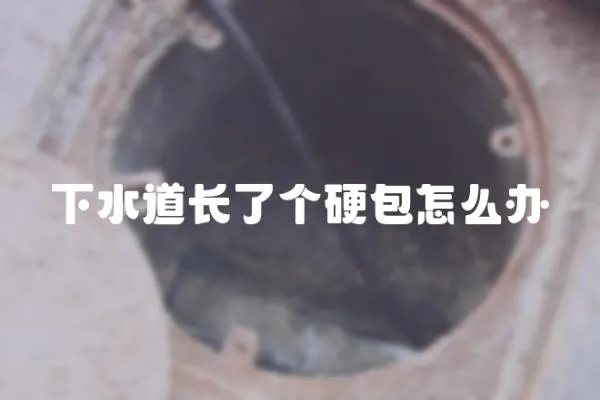 下水道長了個硬包怎么辦